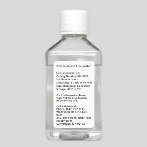 DNase/RNase Free Water 2 L
