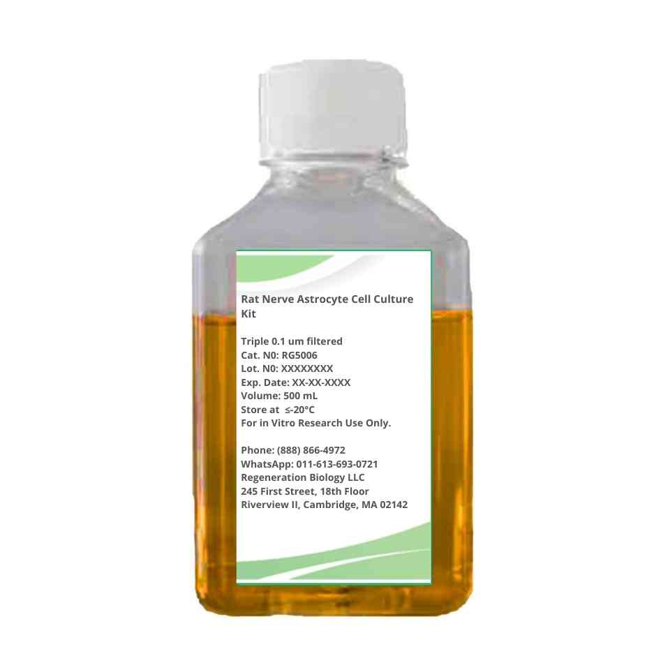 Rat Nerve Astrocyte Cell Culture Kit