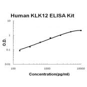 Human KLK12 PicoKine™ ELISA Kit R-EK1167