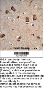 Anti-ITGA1 Rabbit Polyclonal Antibody