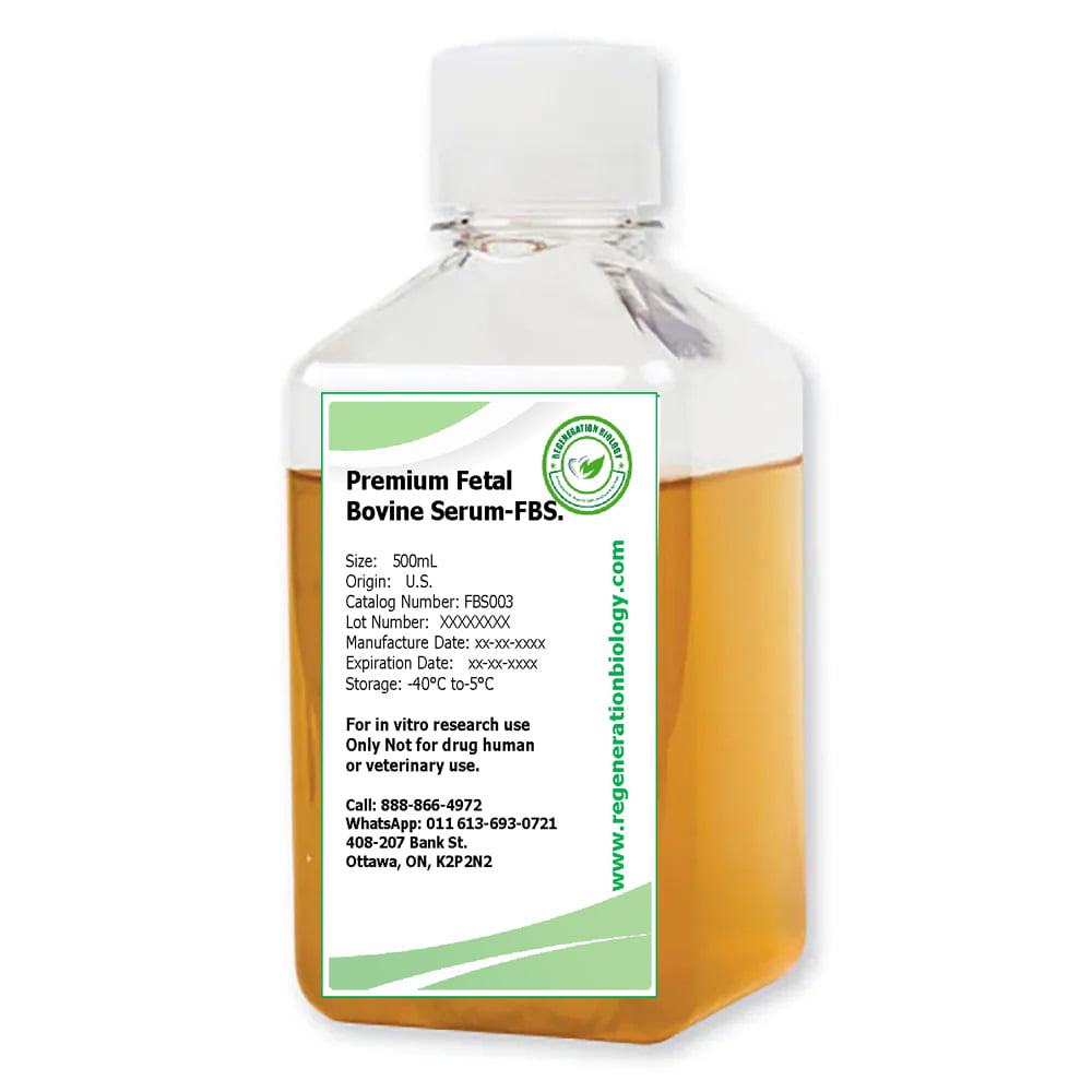 Premium Fetal Bovine Serum